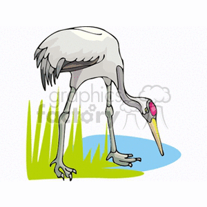 A clipart image of a crane bird standing near a small pond with green grass.