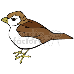 A clipart image of a brown and white bird, likely a sparrow, with a yellow beak.