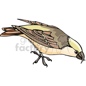 A detailed clipart illustration of a bird with brown and beige feathers, poised as if about to take flight.