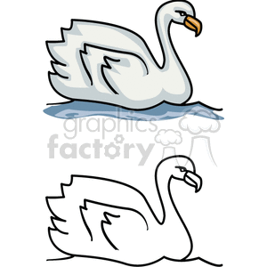 Swan Image in Color and Outline