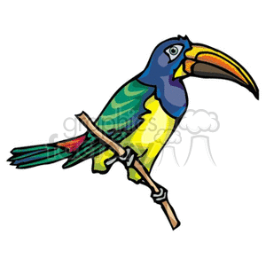A colorful clipart image of a toucan perched on a branch. The toucan features vibrant colors with a large beak, and its wings and body display shades of blue, green, and yellow.