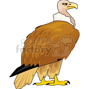 A clipart image of a vulture with brown feathers, a white neck, and yellow legs and feet.