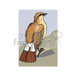 Clipart image of a brown bird perched on a rock.