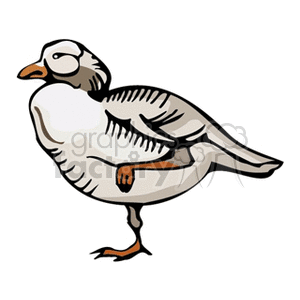 A clipart image of a white and grey bird with its leg raised, possibly a seagull.