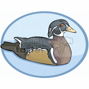 A colorful clipart image of a duck with a black head, white markings, and brown and tan body, swimming in water within a circular frame.