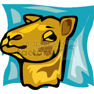 Camel head on a blue background