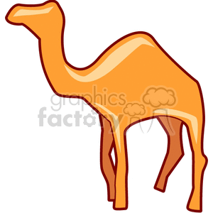golden silhouette of a camel