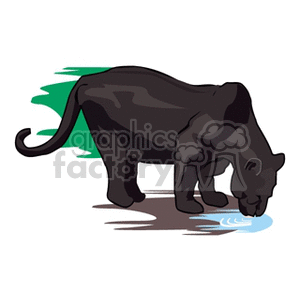 This clipart image depicts a stylized black jaguar drinking water. The jaguar is shown in profile against a simple light green background.