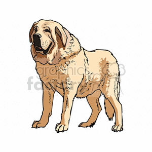 The image is a clipart illustration of a Saint Bernard dog. It depicts a large, muscular canine with a thick fur coat, typically found in shades of brown and white. The dog has floppy ears, a friendly expression, and a sturdy build, characteristic of the Saint Bernard breed.