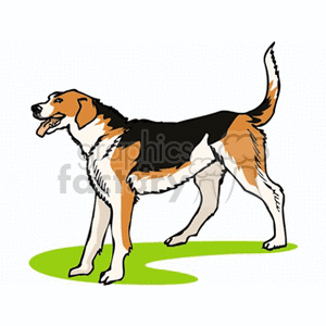   The clipart image features a cartoon of a dog standing on a green surface. The dog appears to be a medium to large breed with a tri-color coat, primarily in shades of white, black, and brown, and it