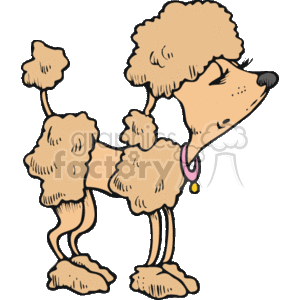 cartoon poodle