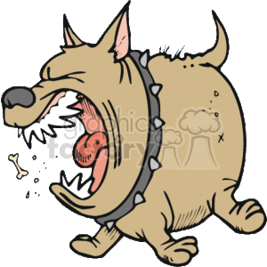 This clipart image shows an angry and vicious dog barking at you. Its teeth are on show, and a small bone or some biscuits are coming out of its mouth. It has a gray spiked collar on it and its eyes are closed