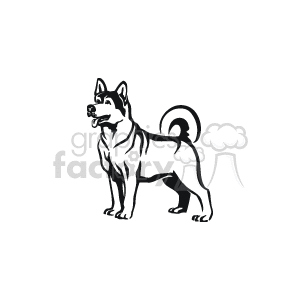 The clipart image shows a husky dog, which is a popular breed of domestic dog. Huskies are well-known for their thick fur coat, erect triangular ears, and distinctive markings. The image captures typical features such as the fluffy tail that often curls over the back. The clipart emphasizes the breed characteristics and is a simple outline often used for logos, decals, or illustrative purposes.