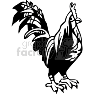 The image is a black and white clipart illustration of a rooster. It appears in a side profile stance with its characteristic comb and wattles, tail feathers, and standing on its feet.