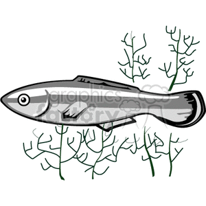 Illustration of a Minnow Fish Swimming Above Aquatic Plants