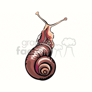 Stylized Snail with Decorative Shell