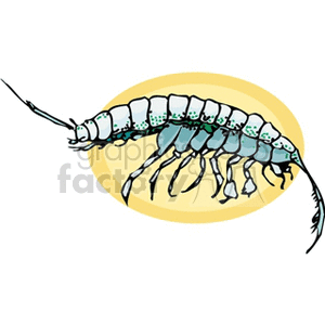 Illustration of a Shrimp on Yellow Background