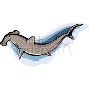 Cartoon Hammerhead Shark - Marine Life