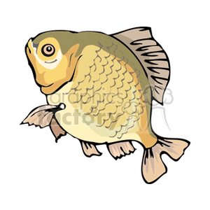 Cartoon Fish Illustration - Image of a Yellow and Cream Fish