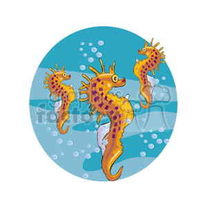 Colorful Seahorses in Underwater Scene