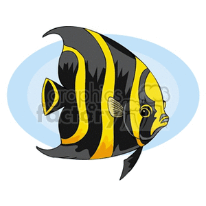 The clipart image depicts a cartoon of a tropical fish with distinctive black, yellow, and white stripes and patterns. The fish appears to be an artistic representation of an angelfish, which is commonly found in tropical and subtropical regions and is popular among aquarium enthusiasts.