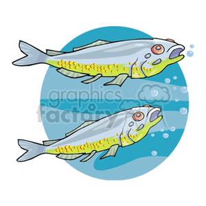 This clipart image features two stylized fish swimming underwater. The fish are depicted with a combination of grey, white, and yellow coloring, and there are bubbles in the water around them, indicating their movement through the water.