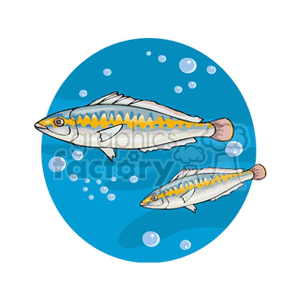 The image is a cartoon-style clipart featuring two yellow and white fish with stripes, swimming underwater. There are bubbles around the fish, indicating their movement through water.