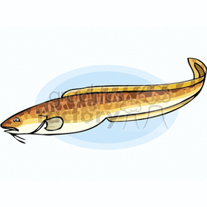 Cartoon Eel Image – Marine Life
