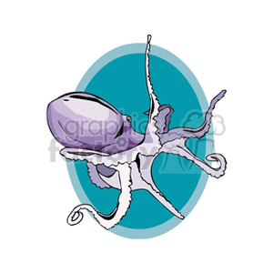 Octopus Illustration - Marine Life