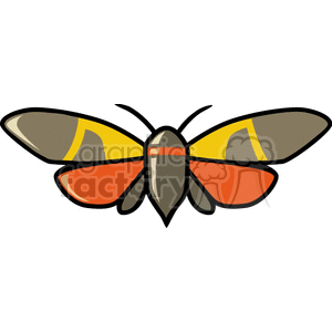 Colorful clipart image of a moth with brown, yellow, and orange wings.