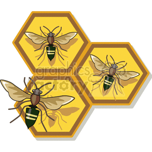 Bees in Honeycomb