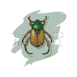 A clipart image of a detailed beetle with a green head and brown body, set against a stylized greenish background.