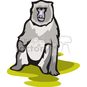 White monkey sitting