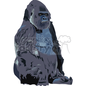 Clipart image of a sitting gorilla with a calm expression.
