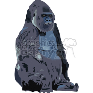 Sitting Gorilla