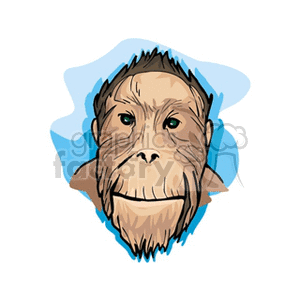 A clipart image of a cartoon ape face with a blue background.