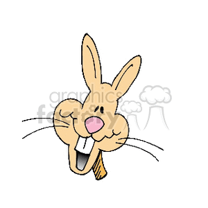 Happy bunny