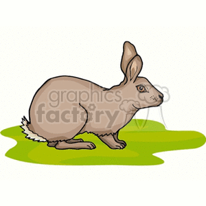 The image depicts a cartoon representation of a single brown rabbit on a green surface, possibly grass.