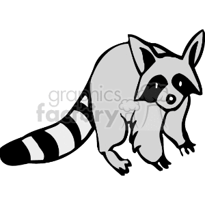 The image is a black and white clipart of a raccoon. The raccoon is depicted with its distinctive features such as the mask-like black markings around its eyes, ringed tail, and a hunched posture as it stands on all fours.