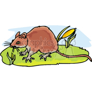 This clipart image contains an illustration of a brown mouse standing on a green patch of grass with a couple of leaves or plants close by. The mouse has prominent whiskers, large ears, and a long tail.