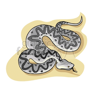 This image depicts a clipart illustration of a coiled grey rattlesnake. The snake is shown with a distinctive pattern on its back, and its rattle is visible on the tail, suggesting that it is a rattlesnake, which is known for its venomous bite.
