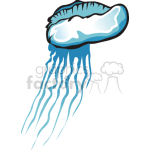 Blue and white jellyfish