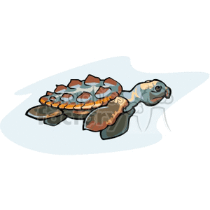 This clipart image depicts a single cartoon sea turtle with a brown shell and flippers, swimming in the water. Its coloration includes shades of brown and tan on the shell, and the turtle appears content or happy.