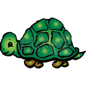 The image shows a cartoon of a green turtle with a patterned shell and a friendly expression. 