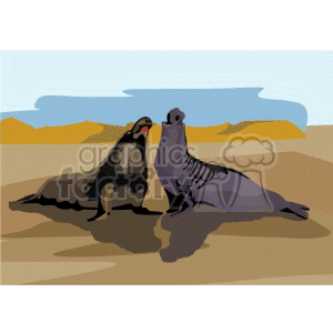 two elephant seals on beach