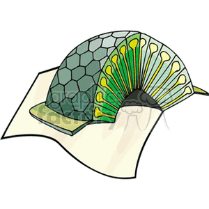 Clipart of a plant cross-section, illustrating the internal structure with layers and cells.