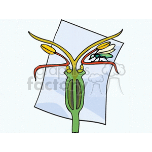 Flower Structure and Pollination