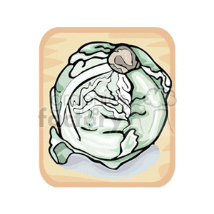 Clipart image of a cabbage, showcasing a fresh green vegetable.