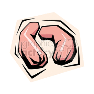 A cartoon-style clipart image of two uncooked sausages or hotdogs