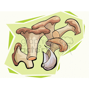 Clipart image of mushrooms and a garlic clove on a green background.